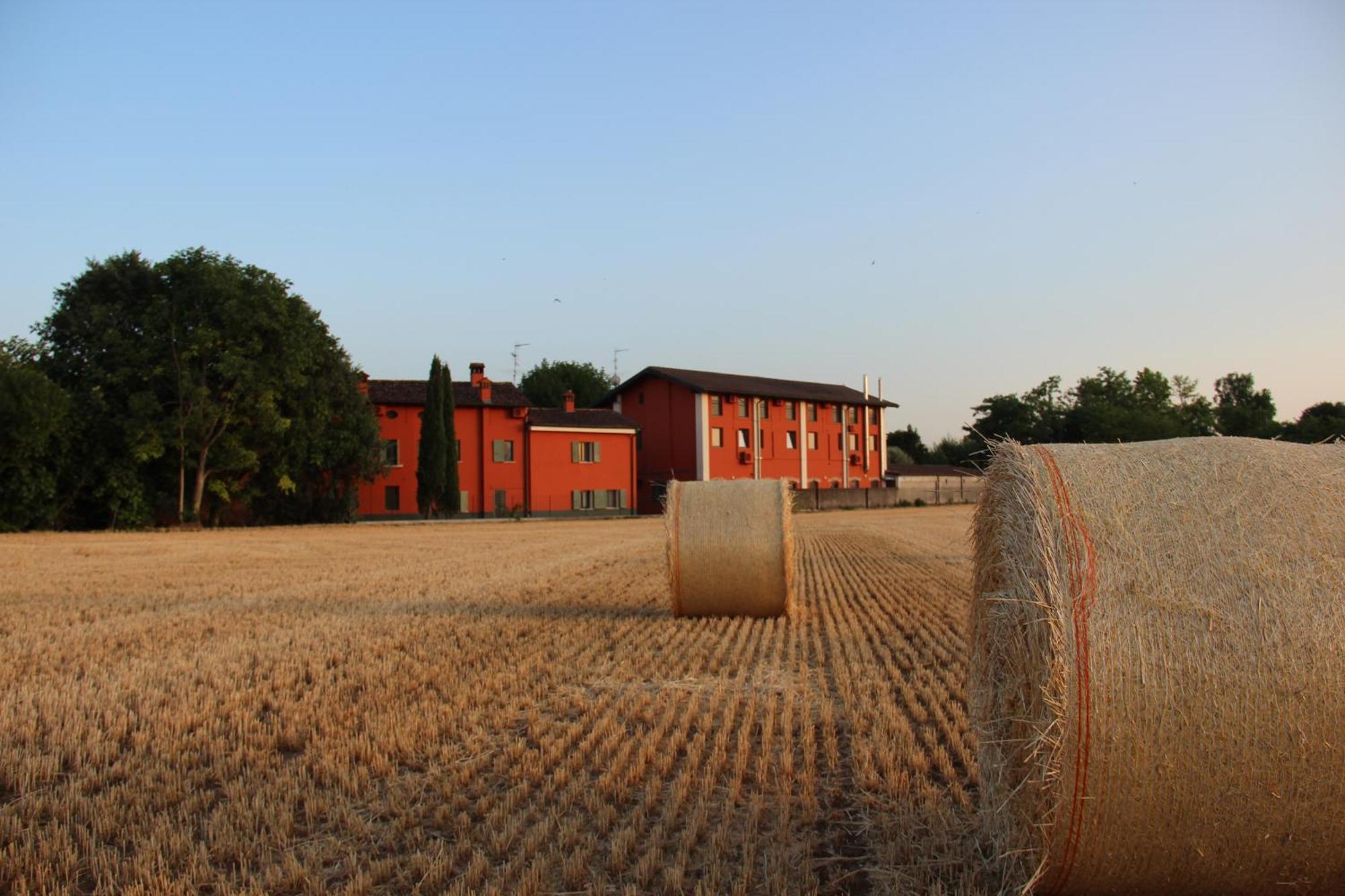 Agriturismo Fiorbello Montirone Екстер'єр фото